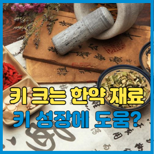 키 크는 한약 재료 효과