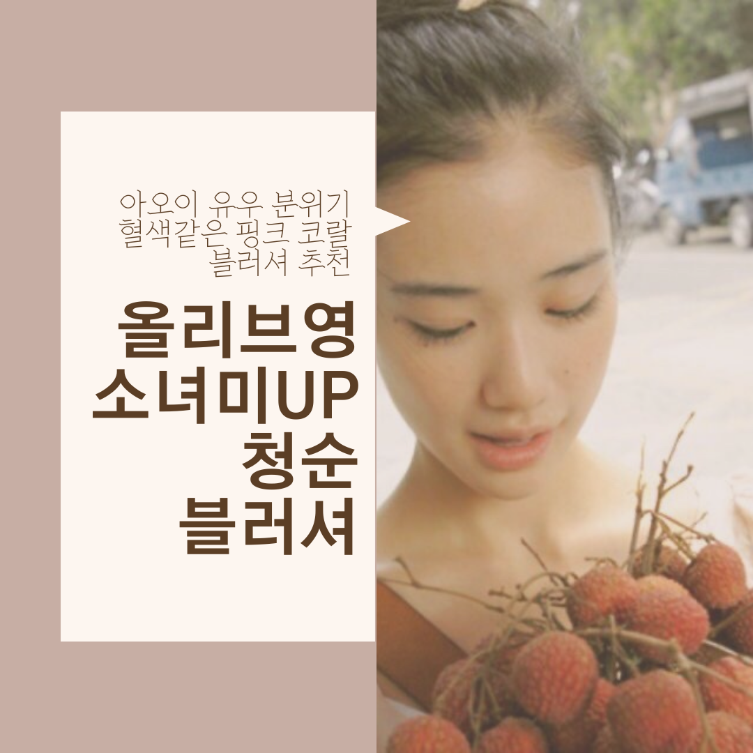 아오이 유우 따라잡기! 자연스러운 혈색 블러셔 추천