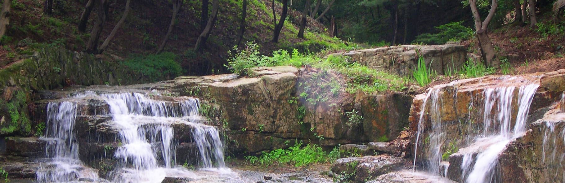 [서울 근교 여행지]산들소리 수목원 &amp; 낭만등불축제 후기