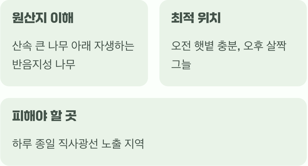 비결 1. 반그늘, 숲속 환경을 만들어주세요