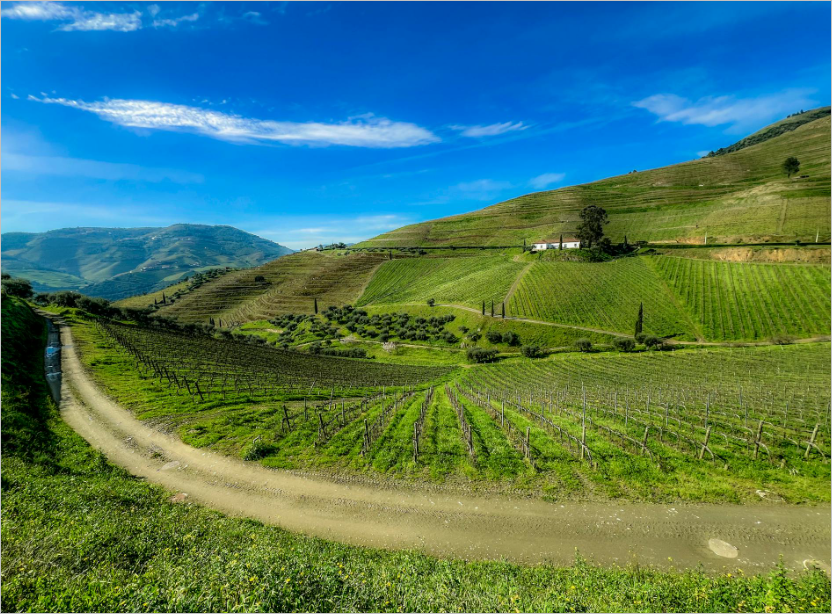 토지이음 홈페이지 이용 방법 완벽 가이드