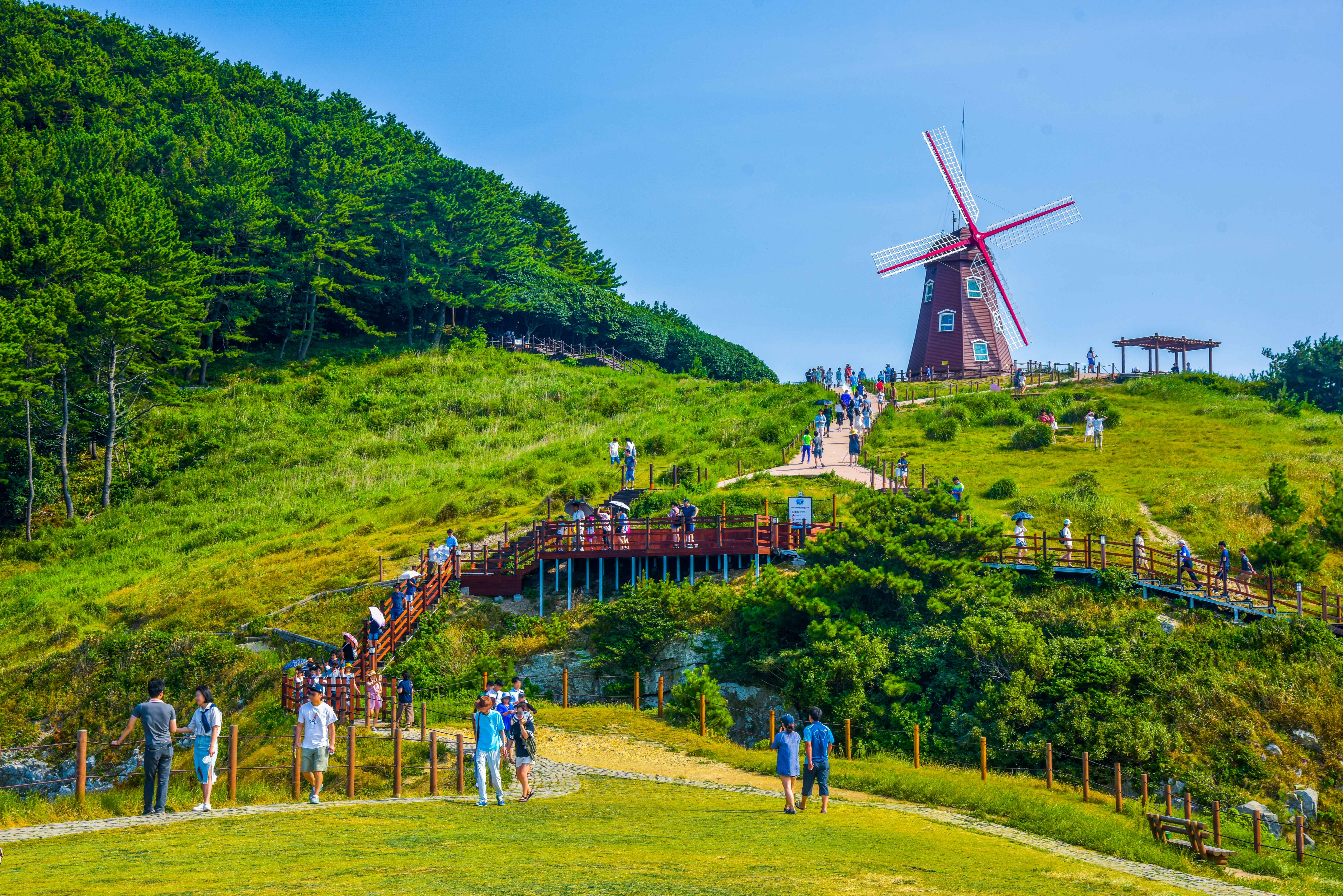 거제 바람의 언덕 사진