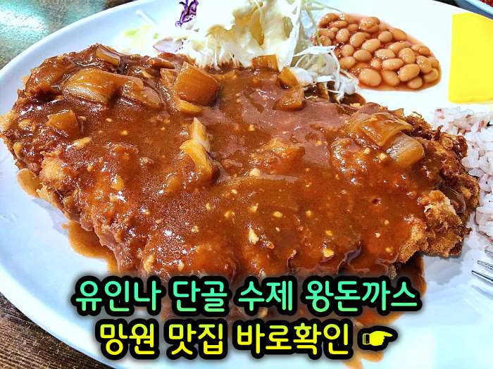 전참시 전지적 참견 시점 마포 망원 단골식당 수제 왕돈까스 맛집