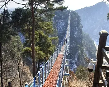 소금산 출렁다리_9