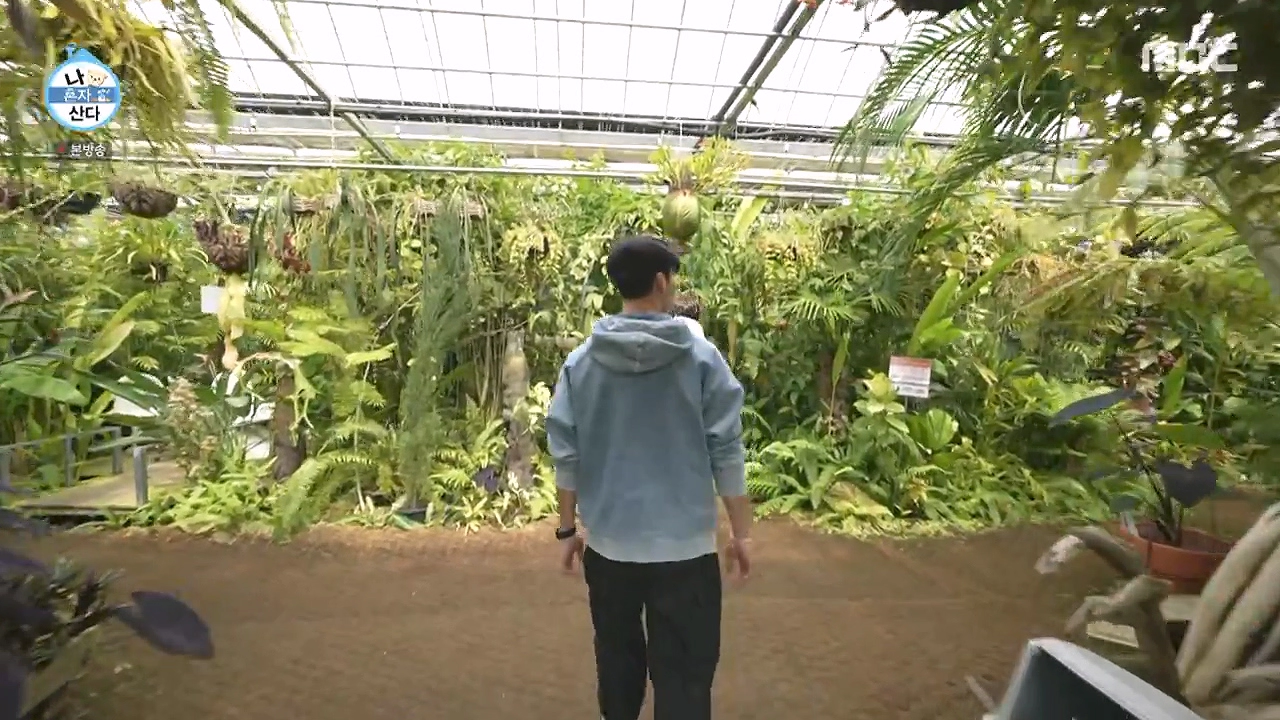 조인폴리아 근처 맛집