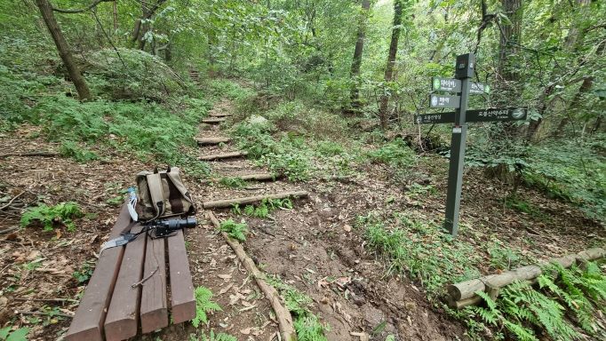 숲속, 이정표 앞 쉼터, 등받이 없는 의자,