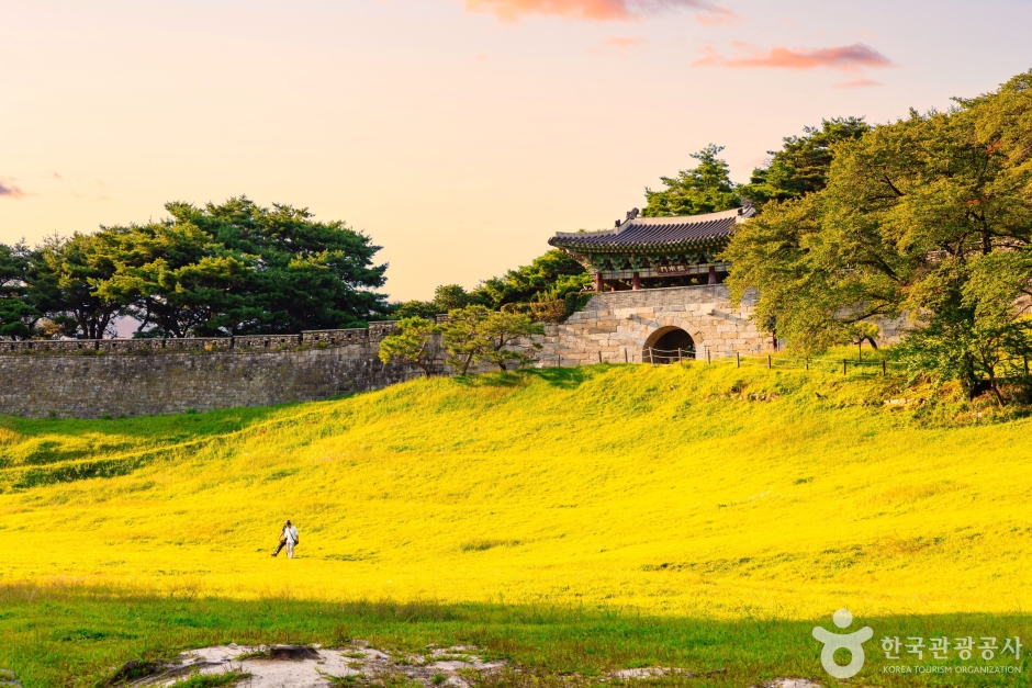 청주 가볼만한곳 베스트10