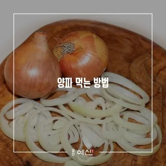 양파 먹는 방법과 양파 효능 양파 부작용 완전 가이드_17