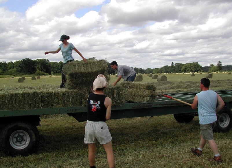 농어촌 지역 대학생 학자금 융자
