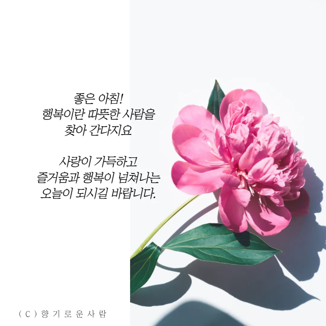 아침인사 이쁜글 다운로드_1