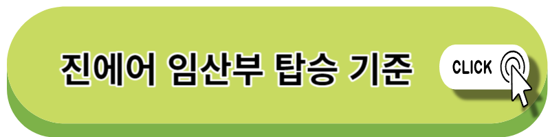 임산부 비행기