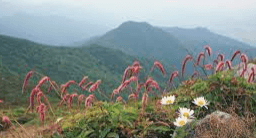 덕유산 국립공원 야영장 예약