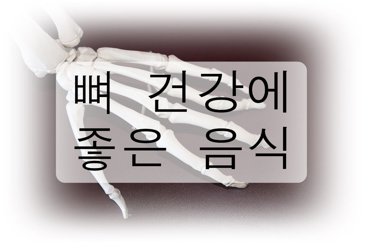 뼈 건강에 좋은 음식을 알아보자! 좋은 습관