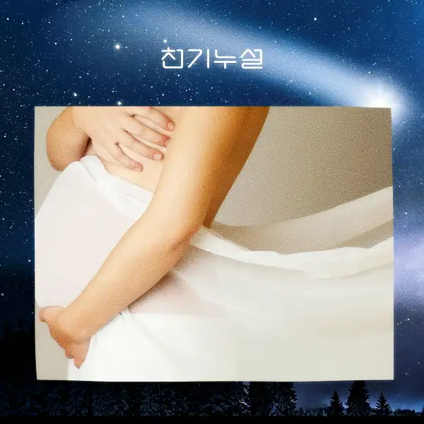 임신하는 꿈 해몽