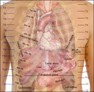 가슴이 벌렁거리는 증상 8