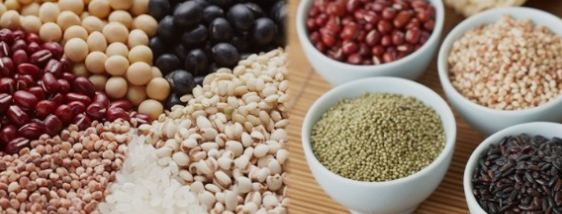 비타민 B 의 종류(분류)와 종류별 효능(역할) 및 결핍시 증상과 과잉 섭취의 부작용 