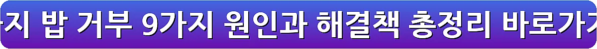 강아지 밥 거부 9가지 원인과 해결책 총정리_5