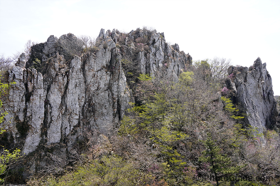 국립공원사진공모전