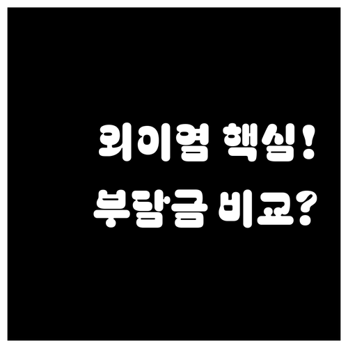 펫보험 외이염 보장 항목과 자기부담금..