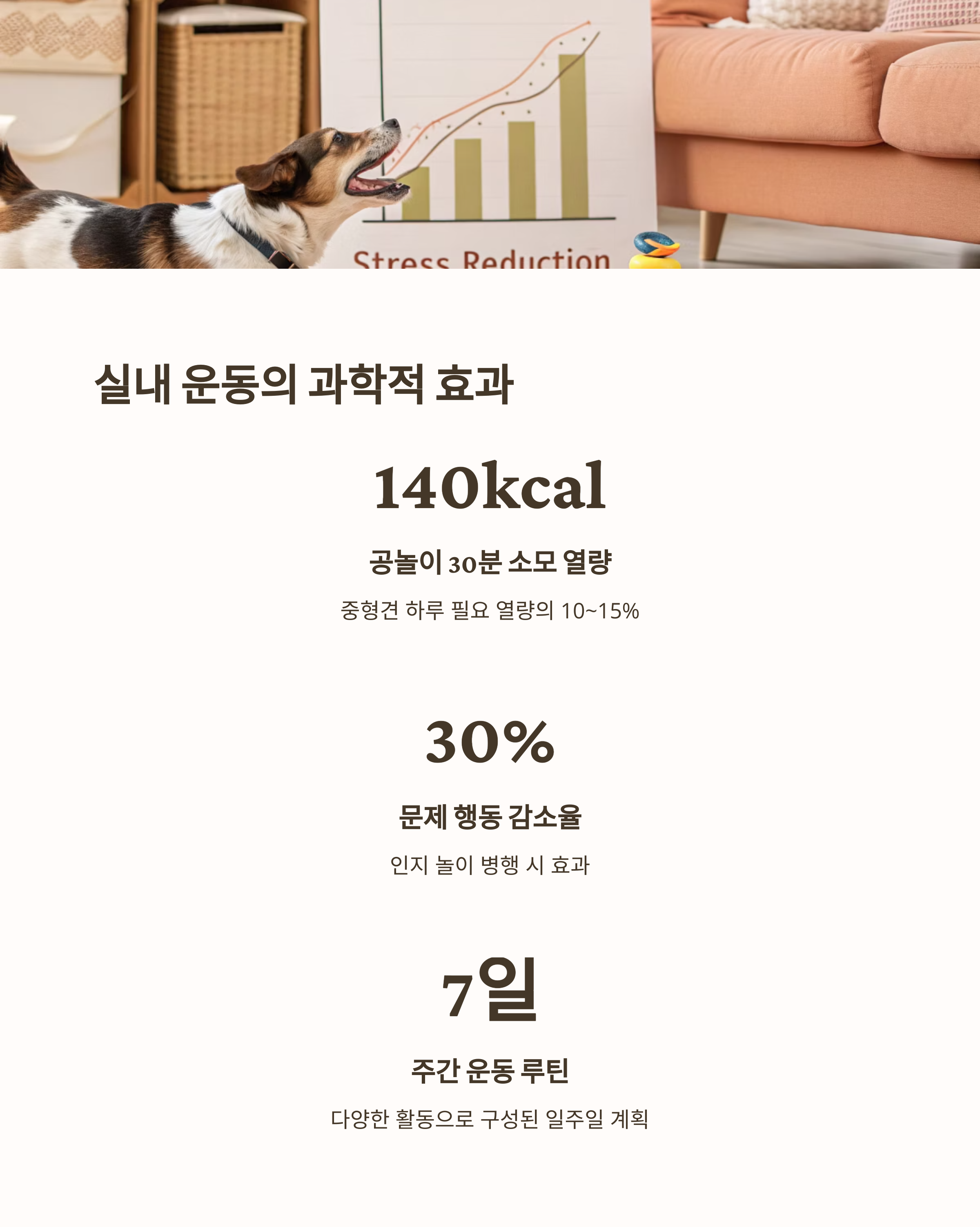 실내 운동의 과학적 효과