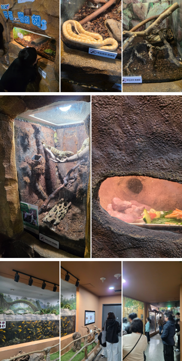 서울어린이대공원 동물원 가을 나들이 (무료입장/관람 코스)