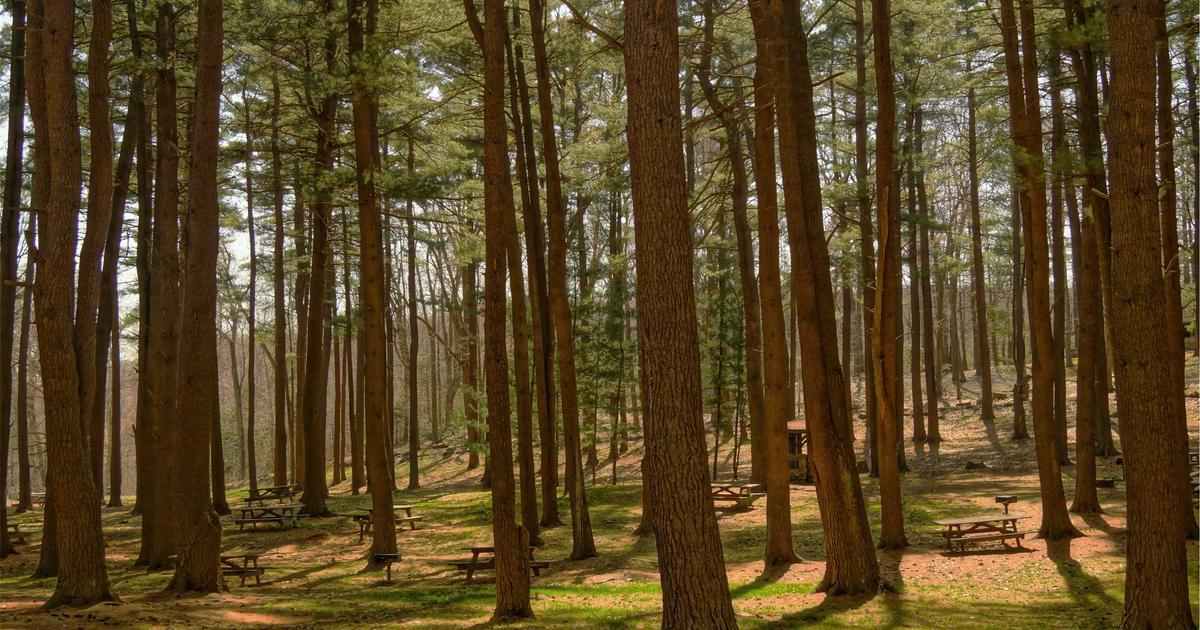 peaceful bedroom with soft lighting and a person sleeping soundly