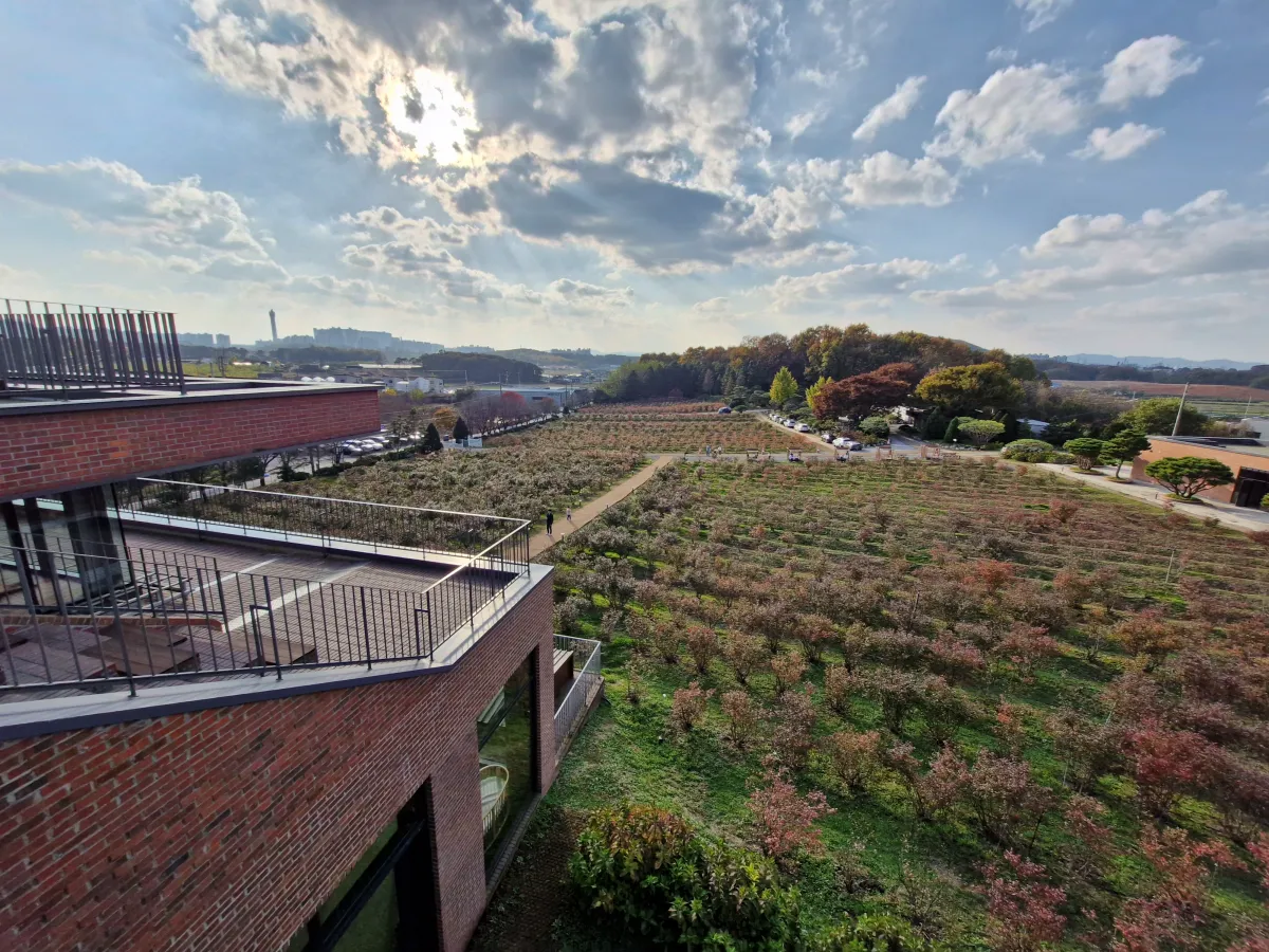 블루베리-농장-전경-사진-모습