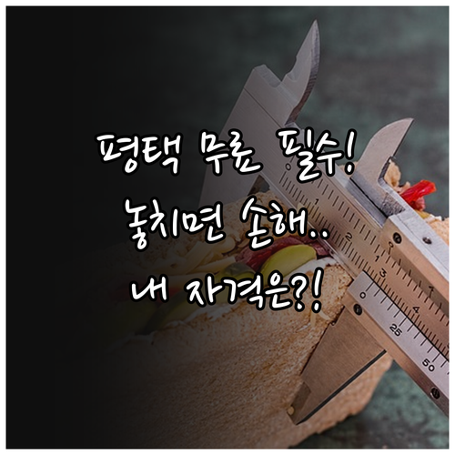 2025 평택시민 예방접종 무료 지원..