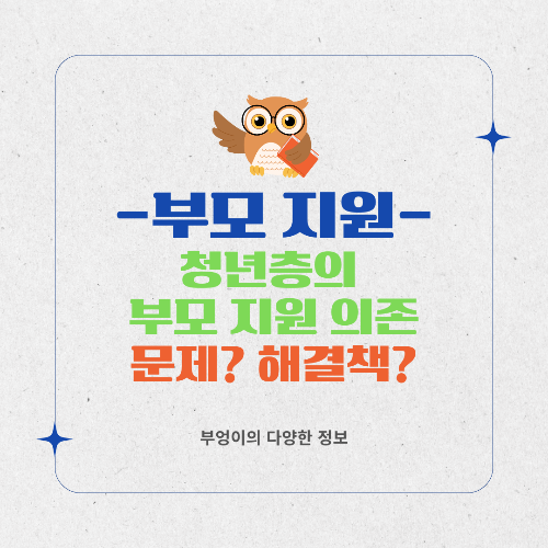 청년층의 부모 지원 의존, 과연 문제일까 해결책일까?