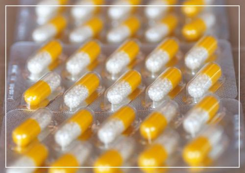 비타민C의 주요 효능