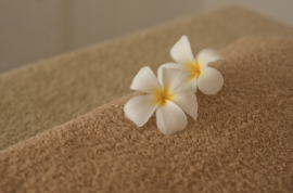 근로장려금 신청과 자녀장려금 신청 방법, 홈택스