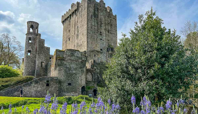 아일랜드여행 관련사진