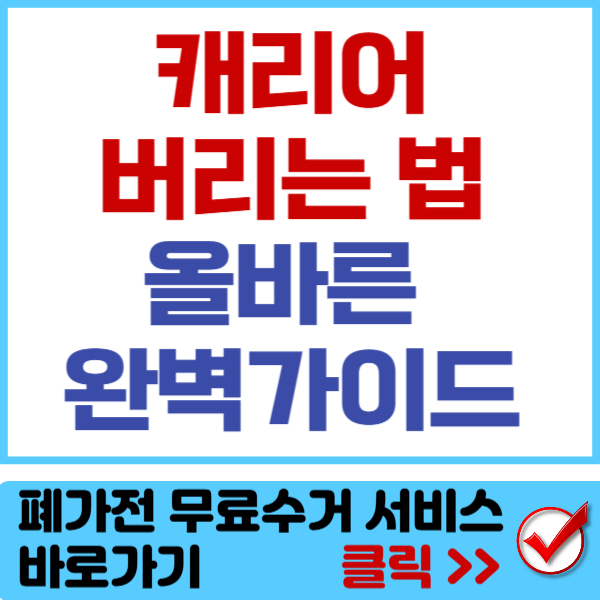 캐리어 버리는 법 썸네일