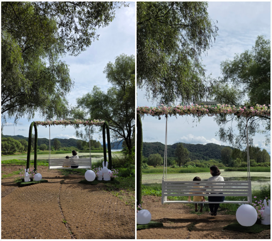 자라섬 (2025 꽃 페스타)