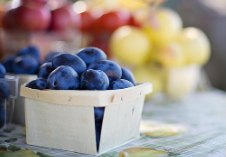 025년 농식품바우처 신청 방법 총정리!