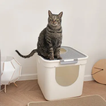 고양이 화장실 크기 대형 자동화장실 추천_8