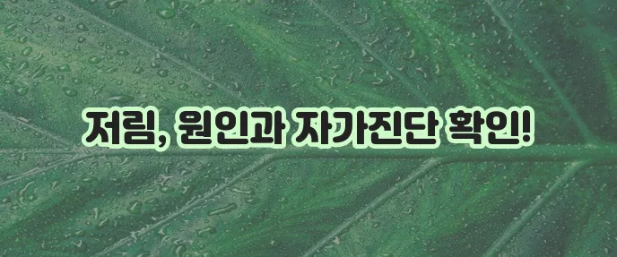 손발 저림 6가지 이유와 자가진단 꼭 확인하세요!