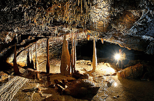 거문오름 탐방 예약 방법 (제주도 명소)
