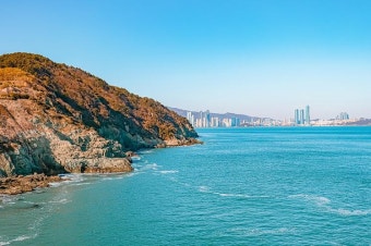 2025 부산온나청년패스 신청방법 및 할인혜택 총정리