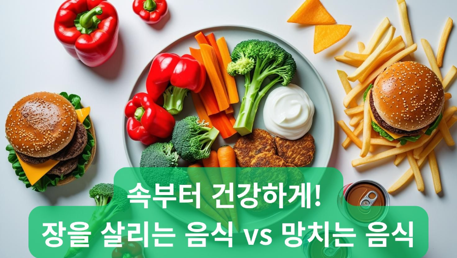 속부터 건강하게! 장을 살리는 음식 vs 망치는 음식