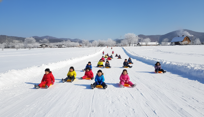 안성 팜랜드 눈썰매장에서 신나게 썰매를 타는 아이들