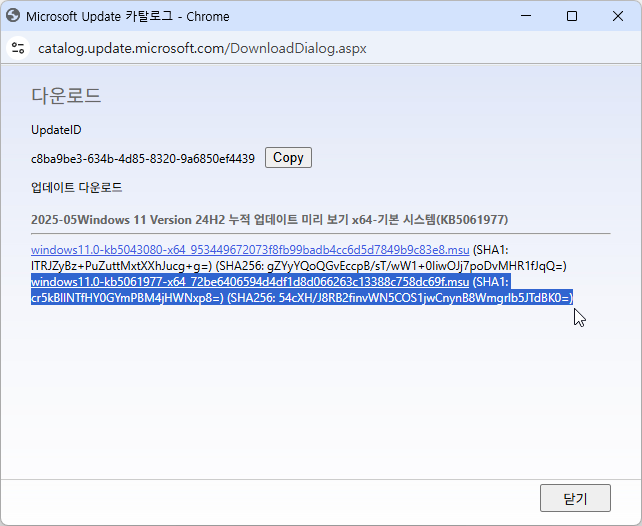 windows11.0-kb5061977-x64_72be6406594d4df1d8d066263c13388c758dc69f.msu