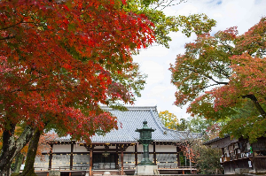 교토 여행 추천 닌나지