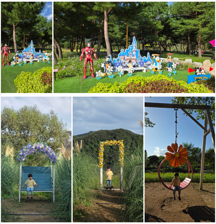 자라섬 (2025 꽃 페스타)