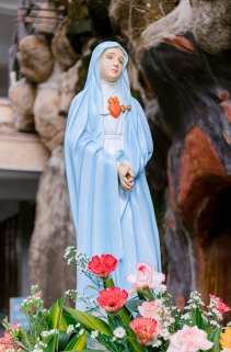 묵주기도. 9일기도. 환희의 신비. 감사기도