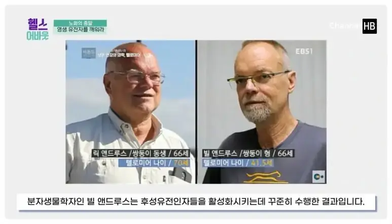 일본nmn효능