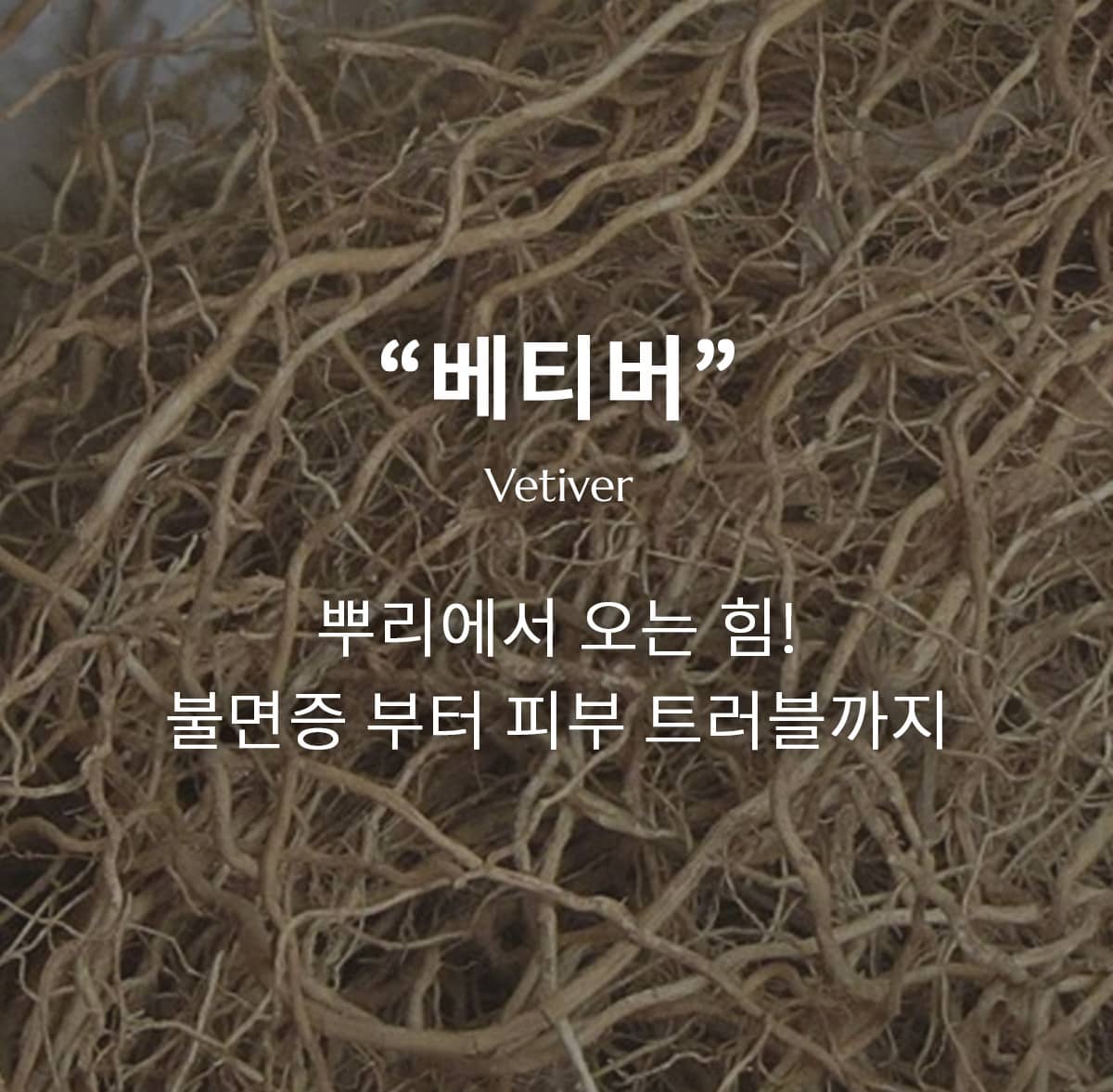 베티버 에센셜 오일, 불면증과 피부 트러블에 효과적인 자연 치유제