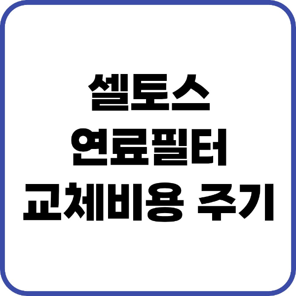 셀토스 연료필터