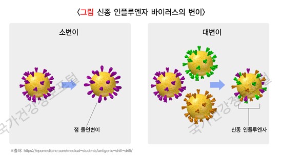신종 인플루엔자