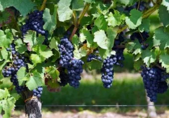 마태복음 25장 설교 아이디어_6